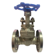 Válvula Industrial Compuerta Ptv SS304l/trim SS304l FL #150 2