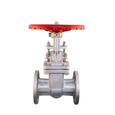 Válvula de Compuerta SS304/Trim 2 Flange ANSI 150 3