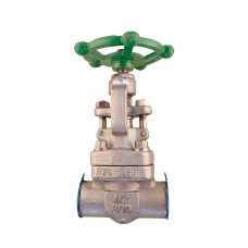 Válvula Industrial Globo DIe-erste Ss316/trim 10 Hilo NPT #800 2