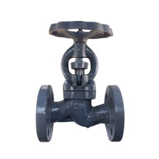 Válvula Industrial Globo Dalsons Non Return Ci/ss410 PN16 25Mm - DALSONS VALVE