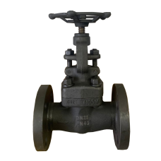 Válvula Industrial Globo Dalsons Recta WCB/ss410 DIN Pn40 200Mm - DIERSTE