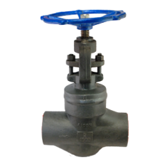 Válvula Industrial Globo DIe-erste Recta A105/trim 5 #1500 Sw 2