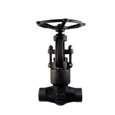 Válvula Industrial Globo DIe-erste Recta F22/trim 5 #2500 Sw 1 1/2