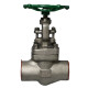 Válvula de Globo Ptv SS316/Trim 10 ANSI 800 Socket Weld 1 1/4