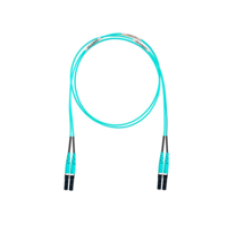 Panduit Opti-Core - Patch cable - LC multi-mode M to LC mu